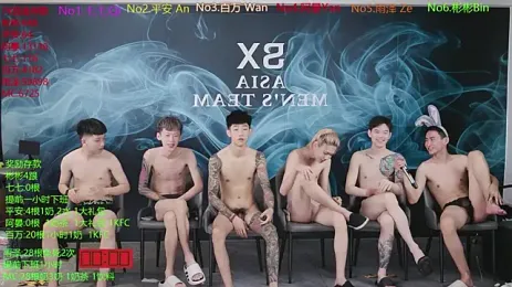 SX-001 webcam model stream image